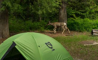 Evan H.'s photo at Sprague Creek Campground — Glacier National Park near Glacier National Park