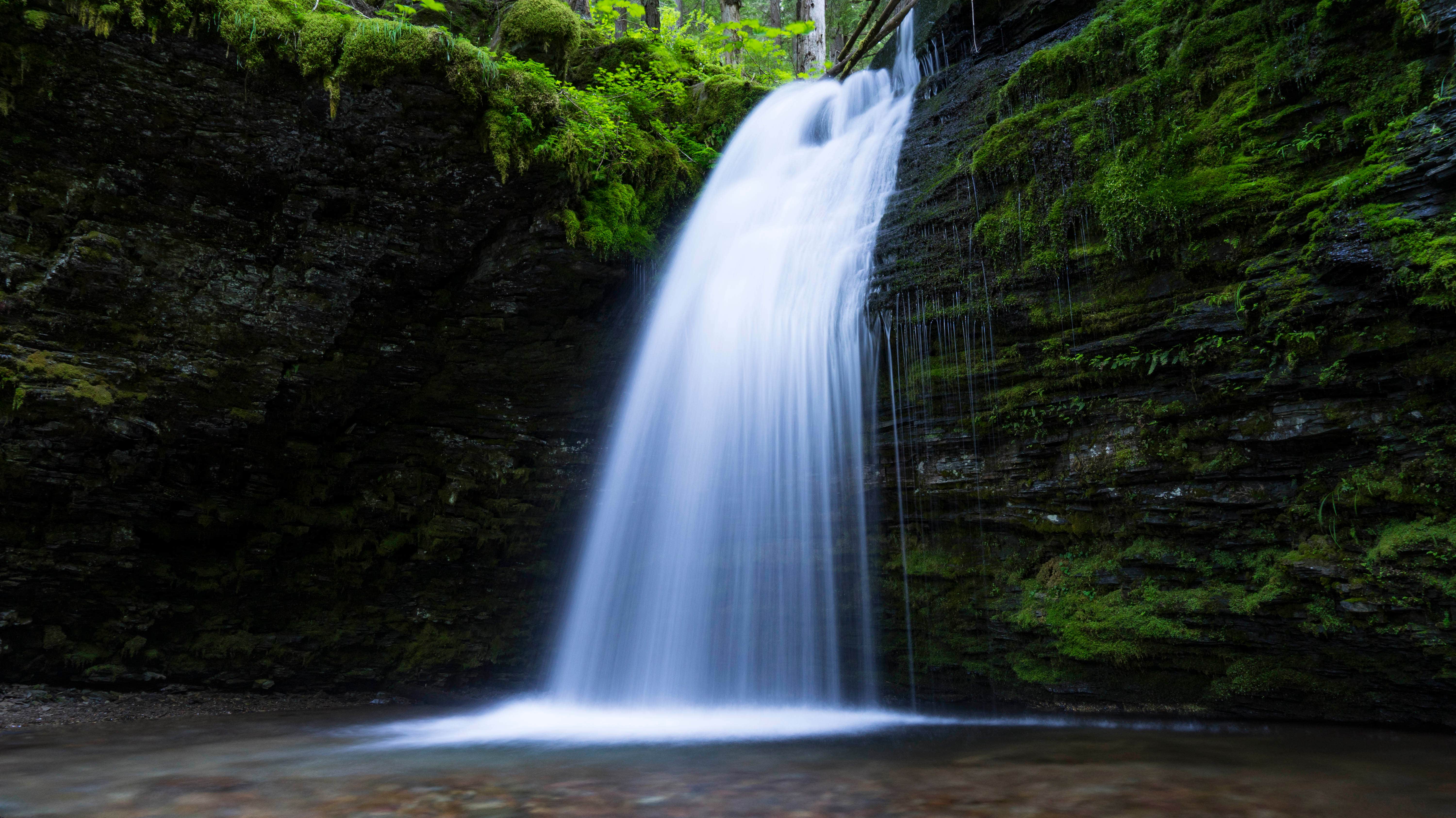Camper-submitted photo at Kit Price near Murray, ID