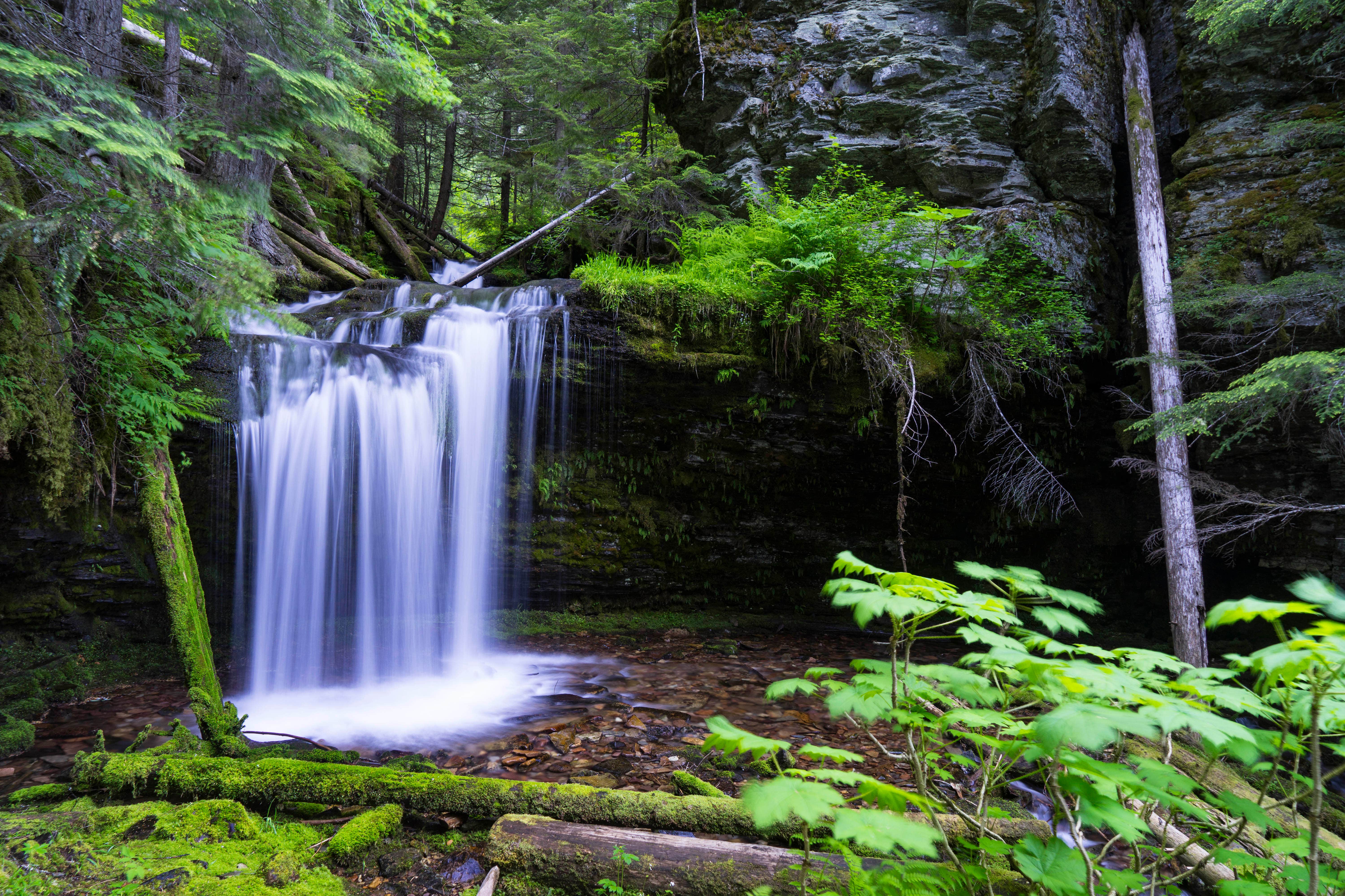 Camper-submitted photo at Kit Price near Murray, ID