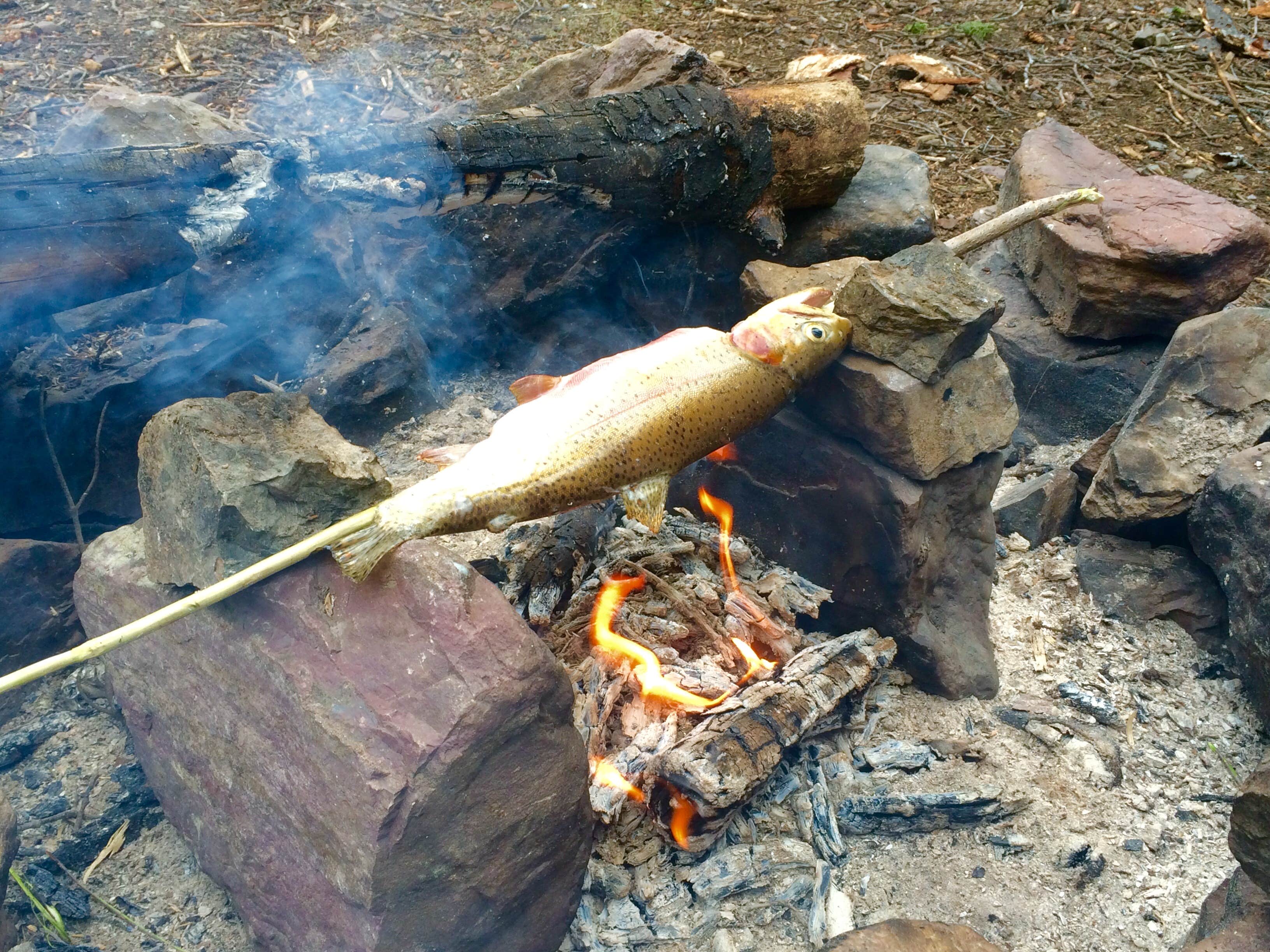 Camper-submitted photo at Upper Holland Lake Campsites near Condon, MT