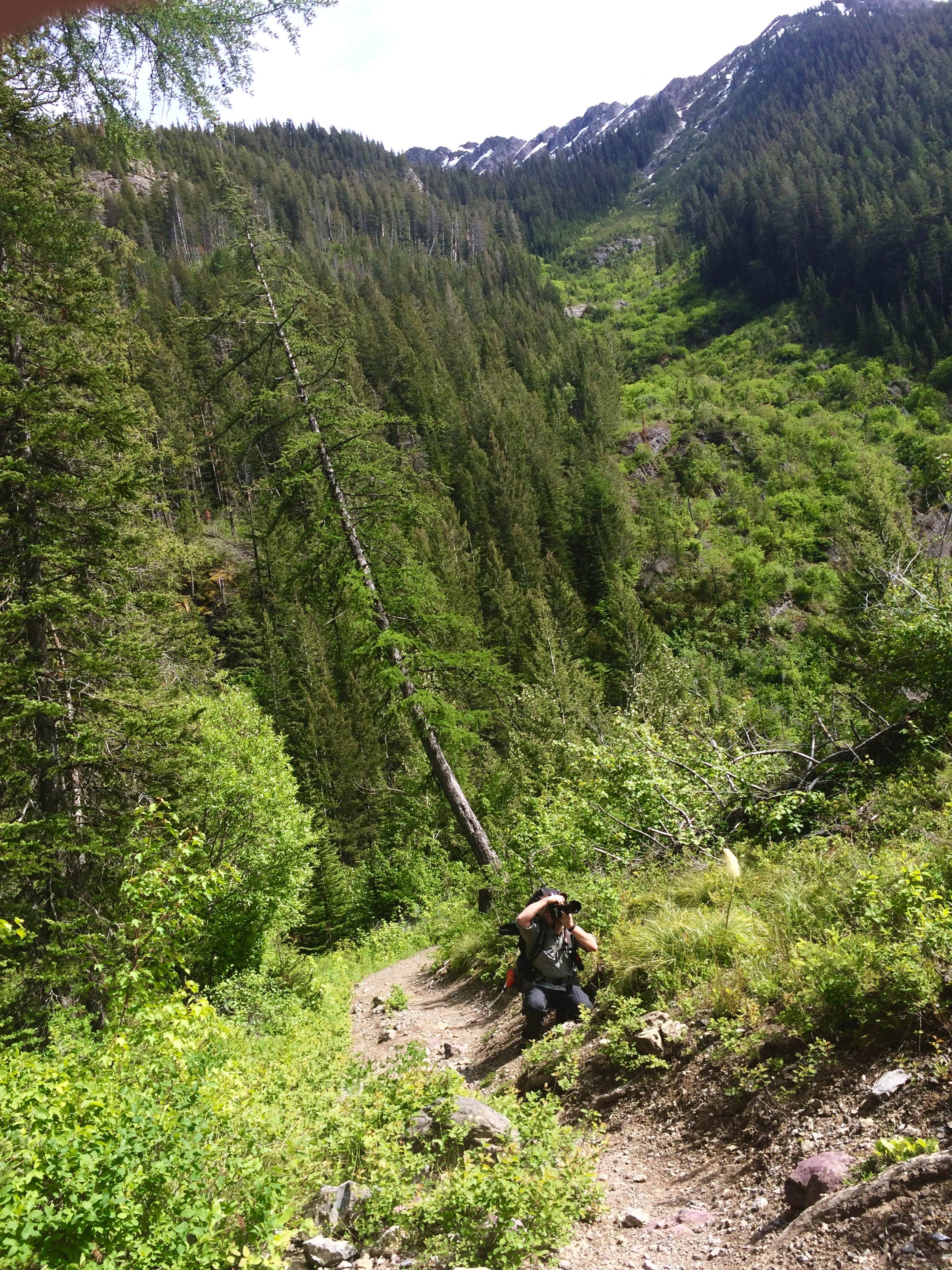 Camper submitted image from Upper Holland Lake Campsites - 1