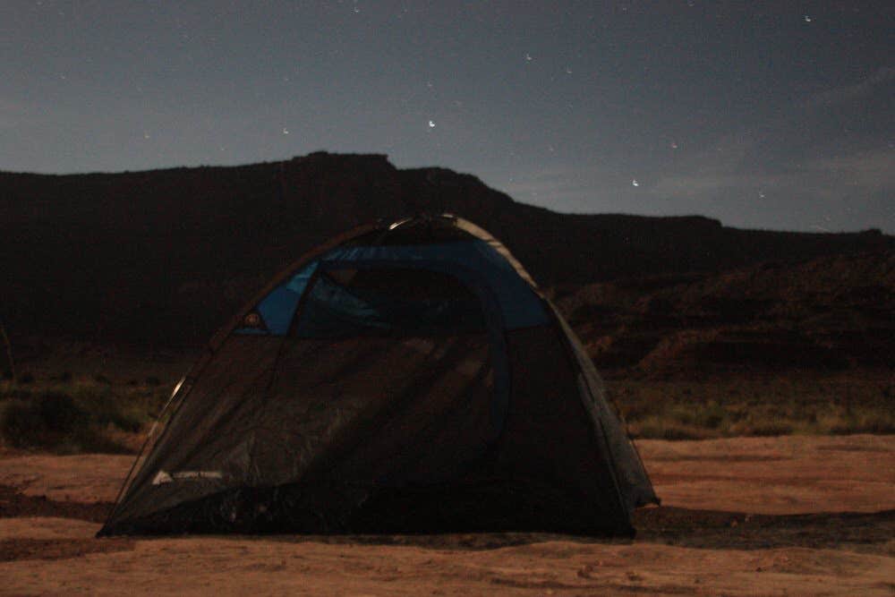 Camper submitted image from White Crack Backcountry Campsites — Canyonlands National Park - 5