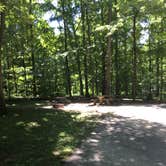 Review photo of Mammoth Cave Campground — Mammoth Cave National Park by Shelly S., June 27, 2016