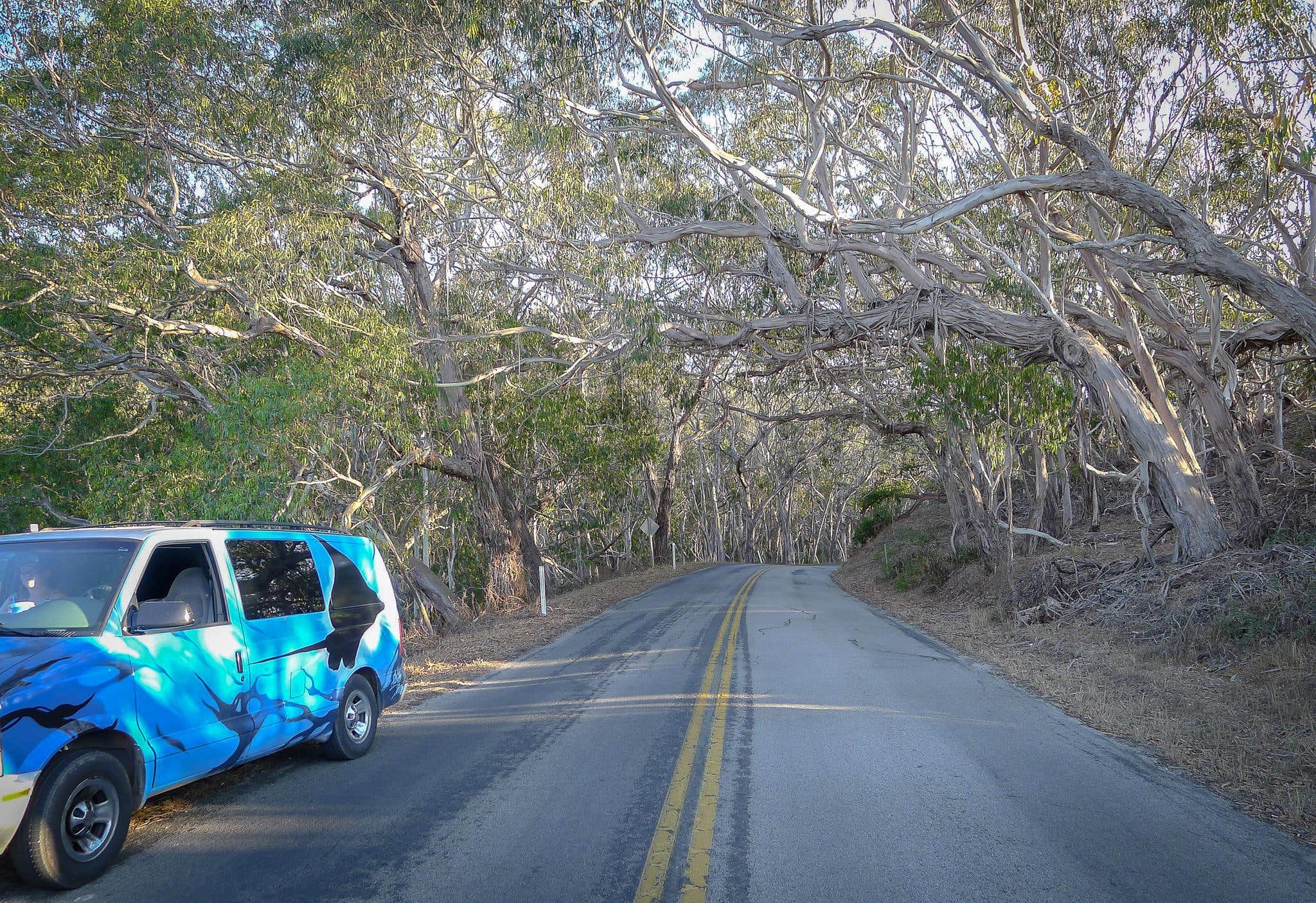 Camper-submitted photo at Islay Creek Campground — Montaña de Oro State Park near Pismo Beach, CA