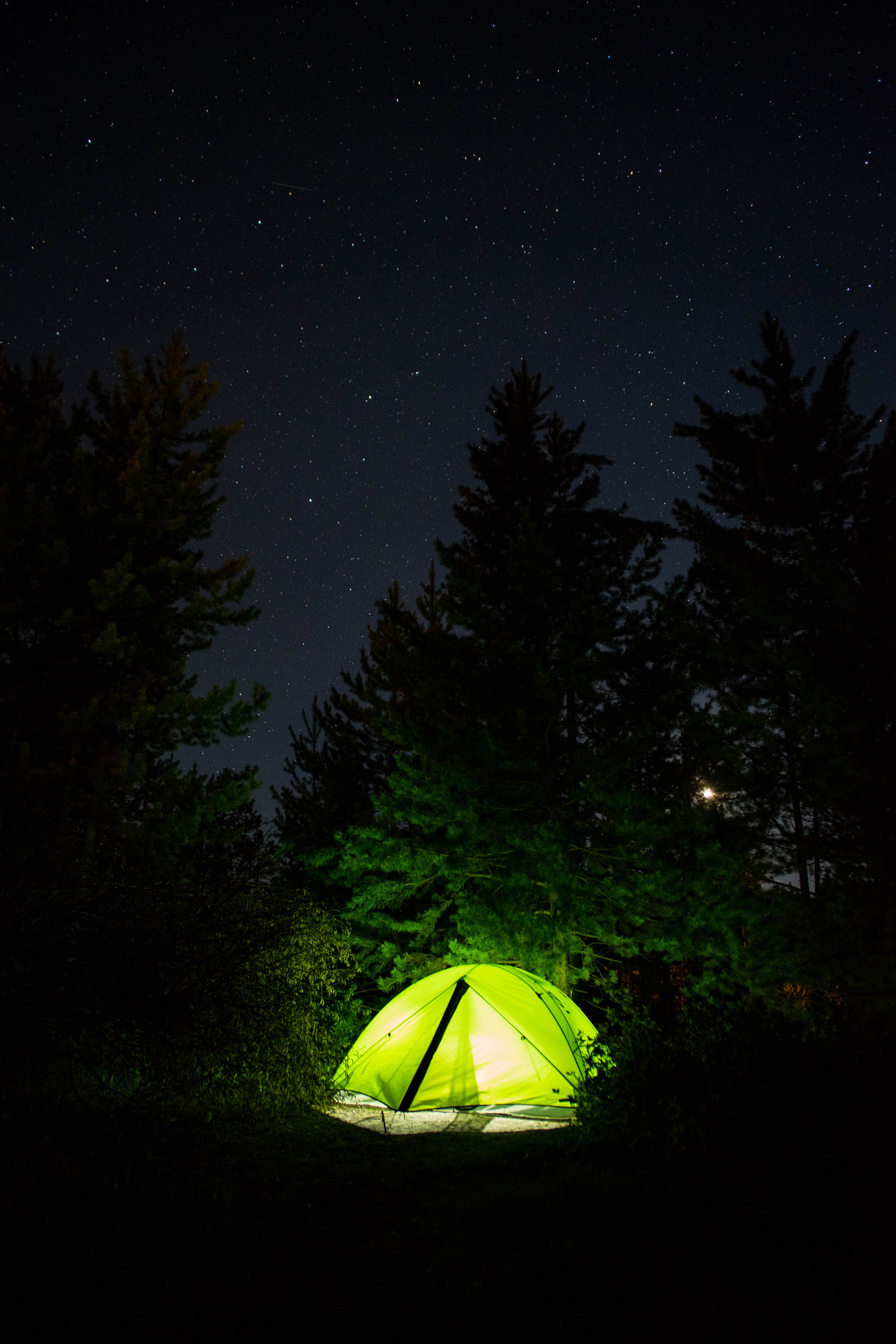 Camper submitted image from Signal Mountain Campground — Grand Teton National Park - 5