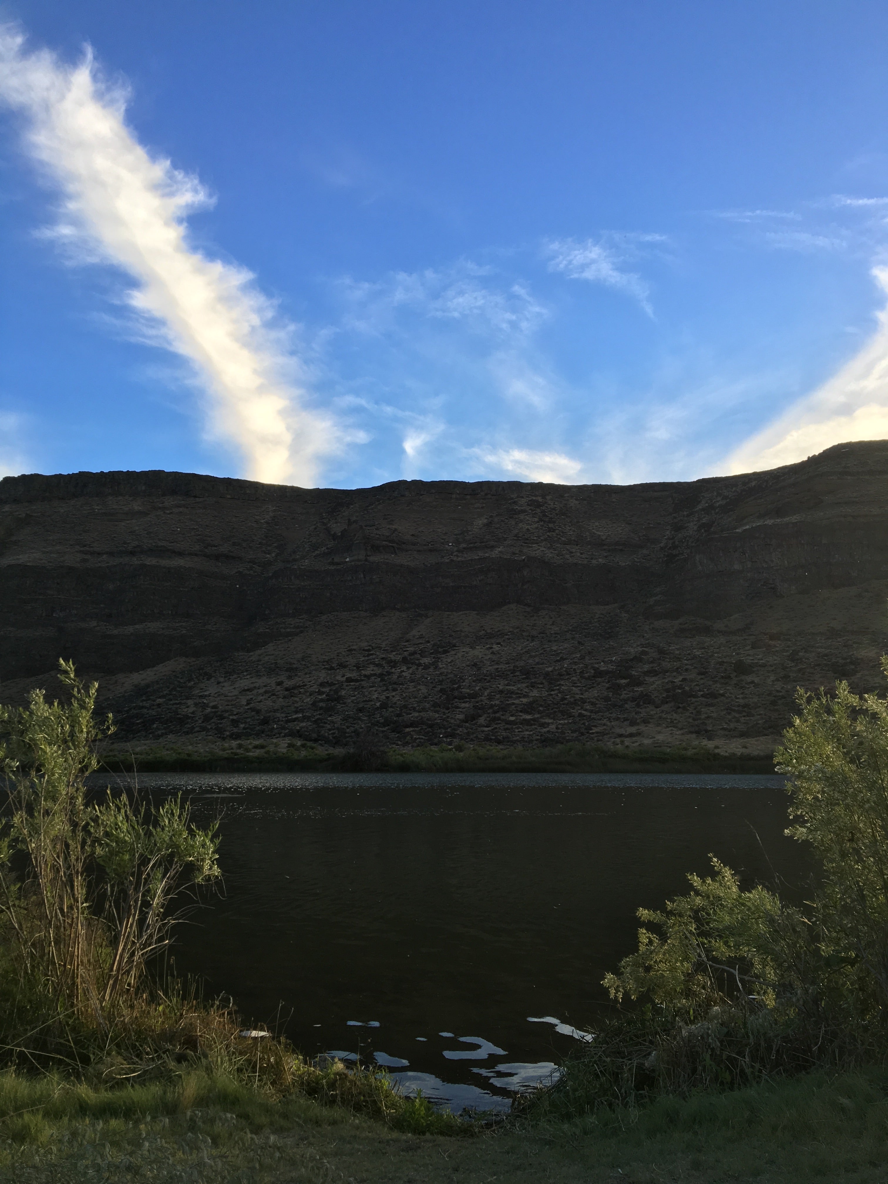 Camper submitted image from Swan Falls - Idaho Power - 3