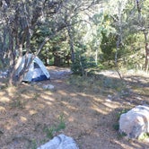 Review photo of Upper Lehman Creek Campground — Great Basin National Park by Amanda D., June 25, 2016