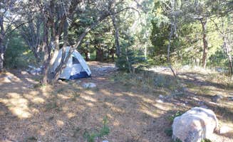 Amanda D.'s photo at Upper Lehman Creek Campground — Great Basin National Park near Great Basin National Park
