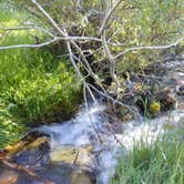 Review photo of Upper Lehman Creek Campground — Great Basin National Park by Amanda D., June 25, 2016