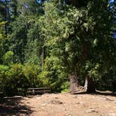 Review photo of Shellrock Creek by Aria R., July 9, 2017