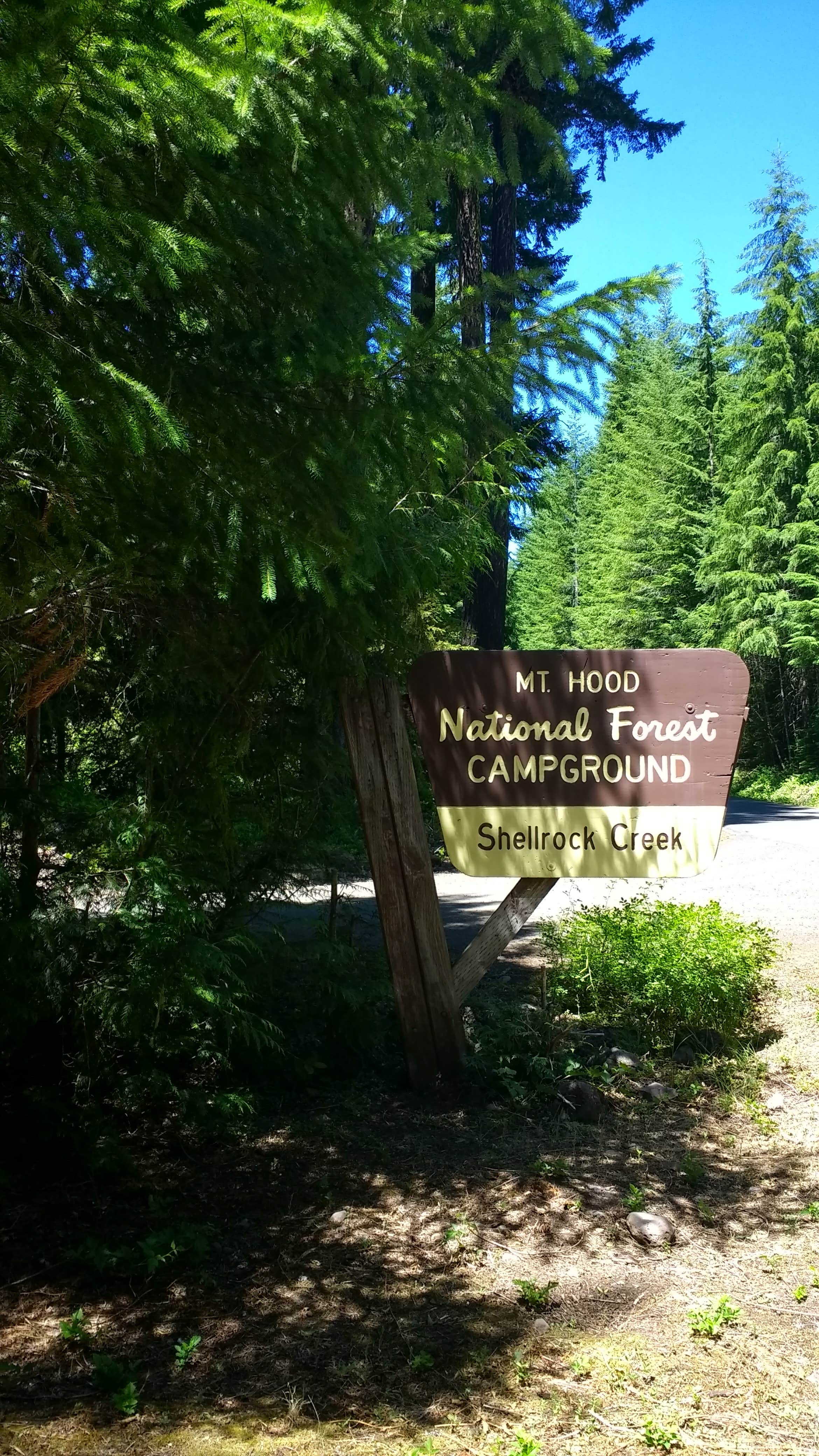 Camper submitted image from Shellrock Creek - 1