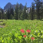 Review photo of Jack Lake Campground by Erin P., July 10, 2017