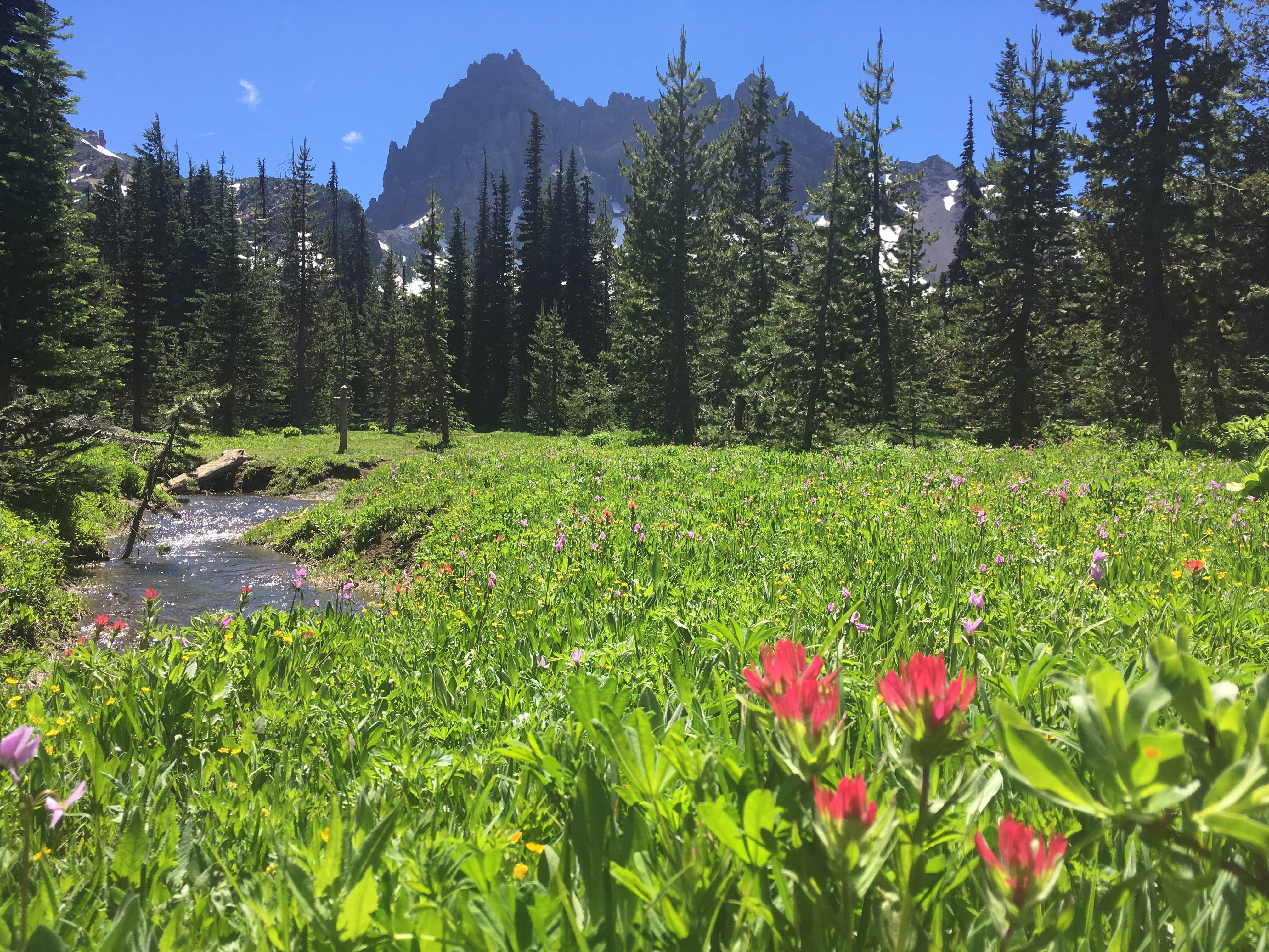 Camper submitted image from Jack Lake Campground - 1