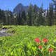 Jack Lake Campground