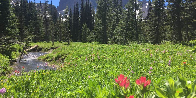 Camper submitted image from Jack Lake Campground