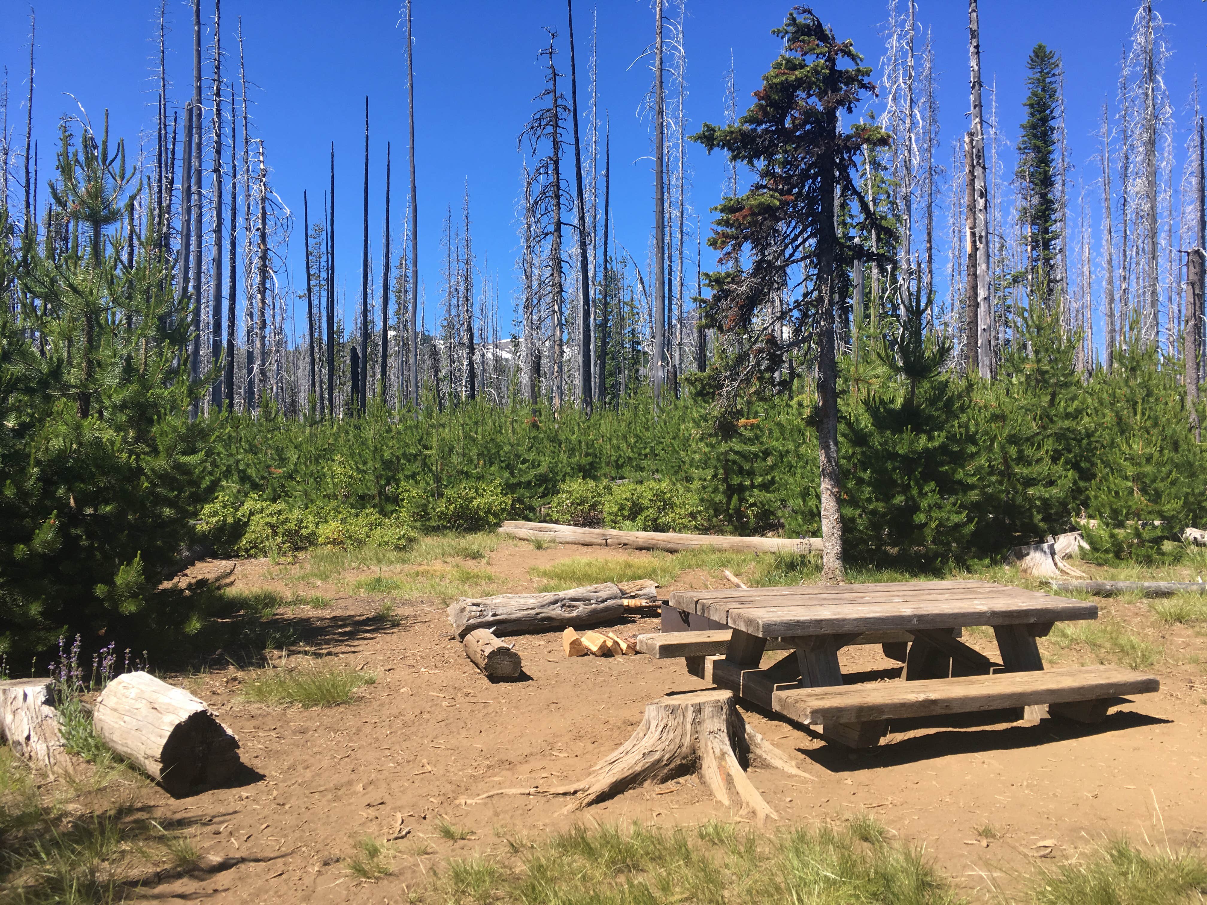 Camper-submitted photo at Jack Lake Campground near Camp Sherman, OR