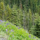 Review photo of Sol Duc Hot Springs Resort Campground — Olympic National Park by Ashley Y., July 10, 2017