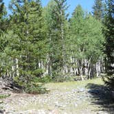 Review photo of Upper Lehman Creek Campground — Great Basin National Park by Amanda D., June 25, 2016
