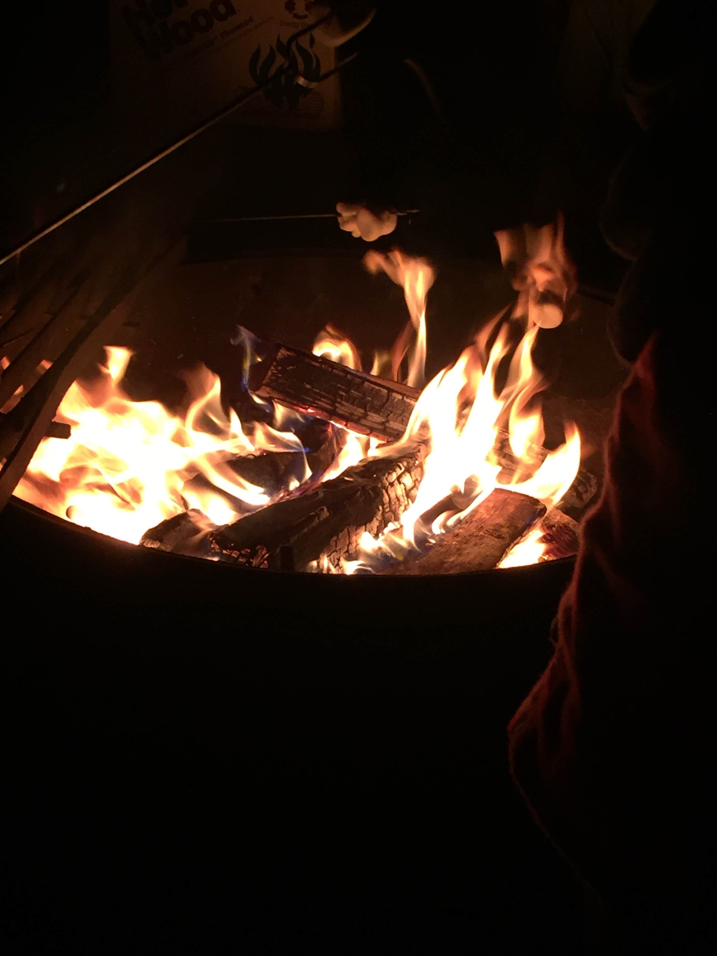 Camper submitted image from Emma Wood State Beach - 2