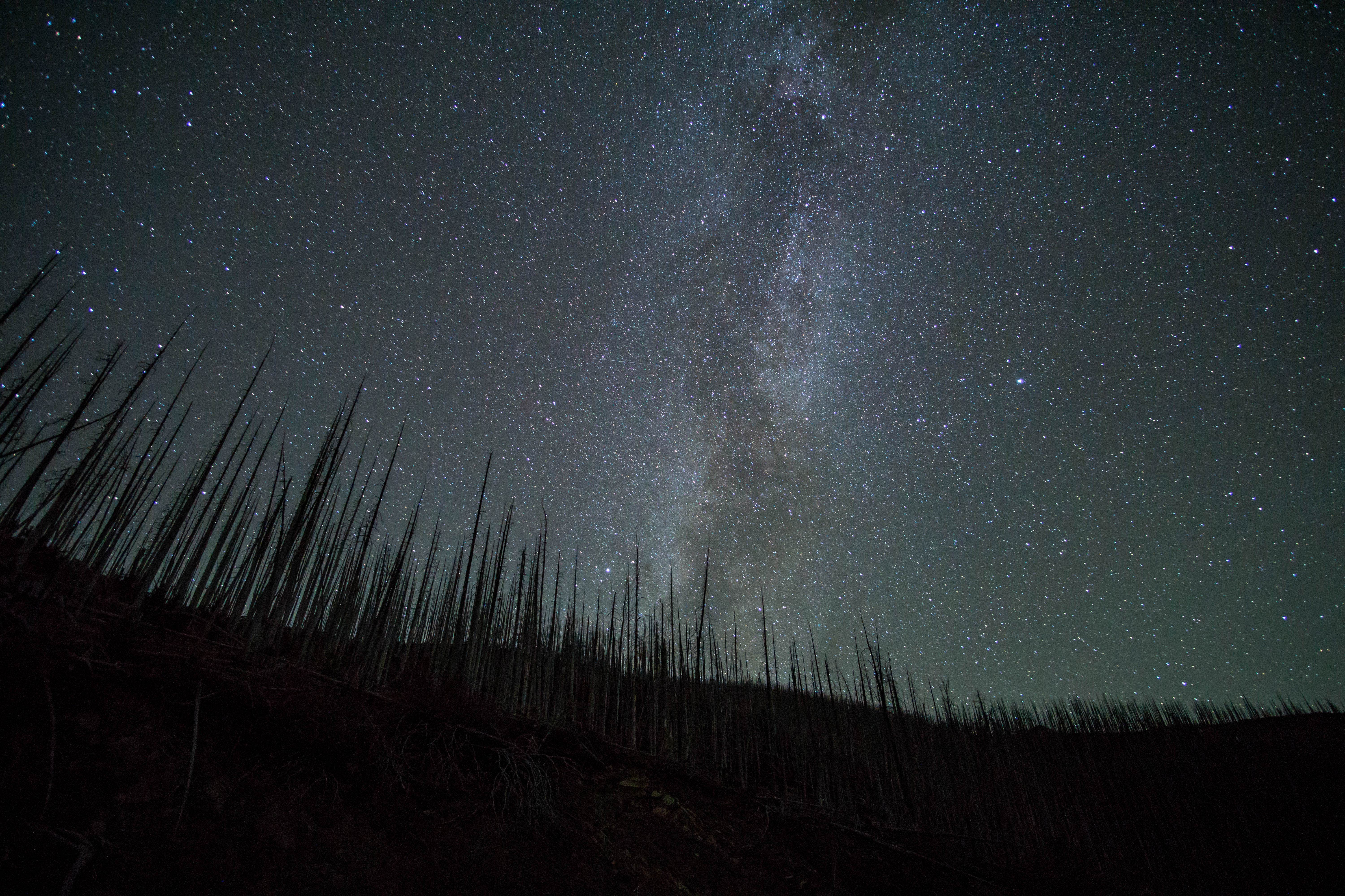 Camper submitted image from West Fork Teton Campground - 2