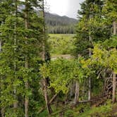 Review photo of Timber Creek Campground — Rocky Mountain National Park by Kristina M., July 10, 2017
