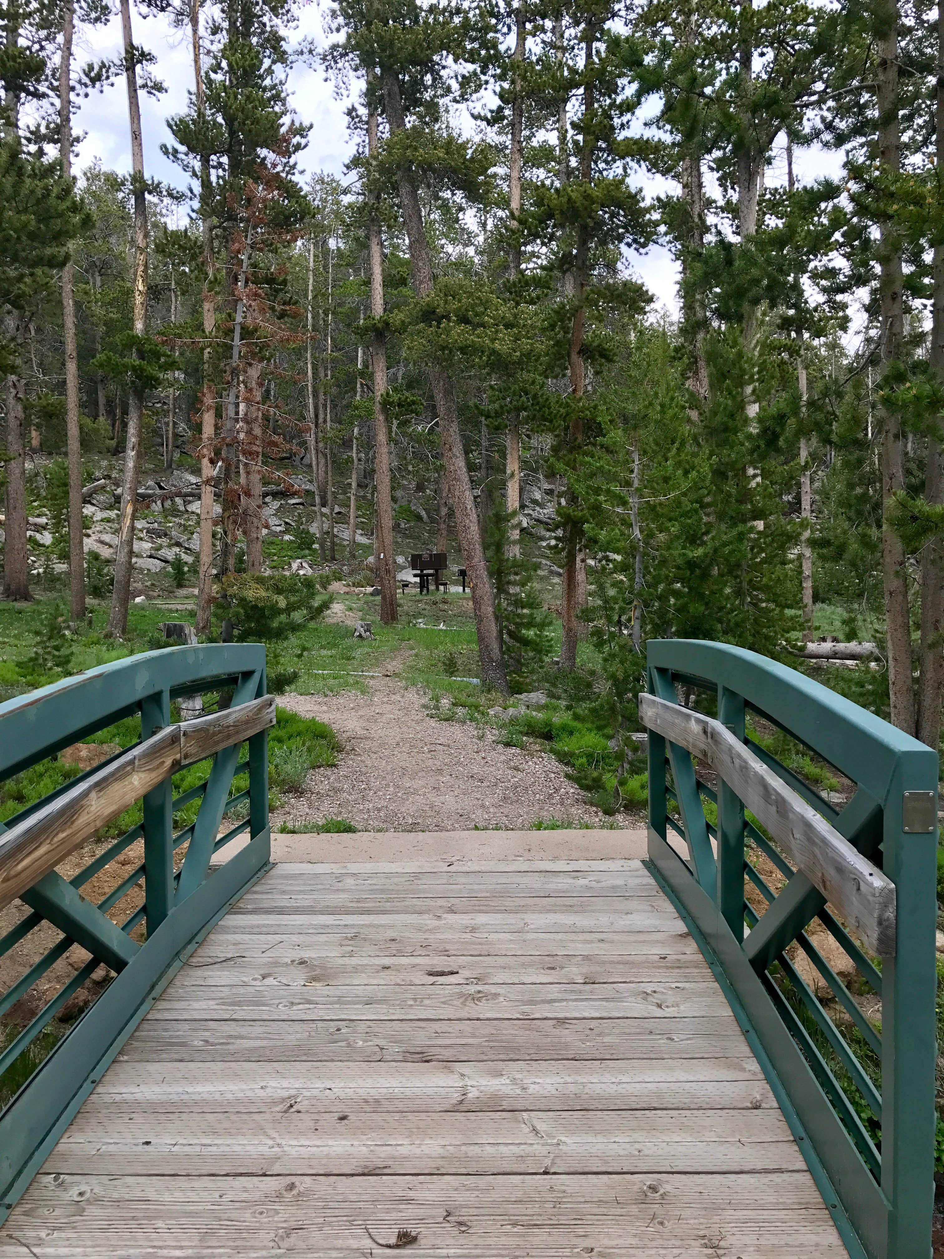 Camper submitted image from Fiddlers Lake - 5