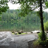 Review photo of Battle Ground Lake State Park Campground by Bjorn S., June 25, 2016