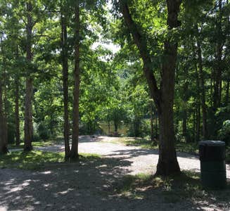 Camper-submitted photo from Burr Oak State Park Campground