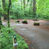 Review photo of Battle Ground Lake State Park Campground by Bjorn S., June 25, 2016