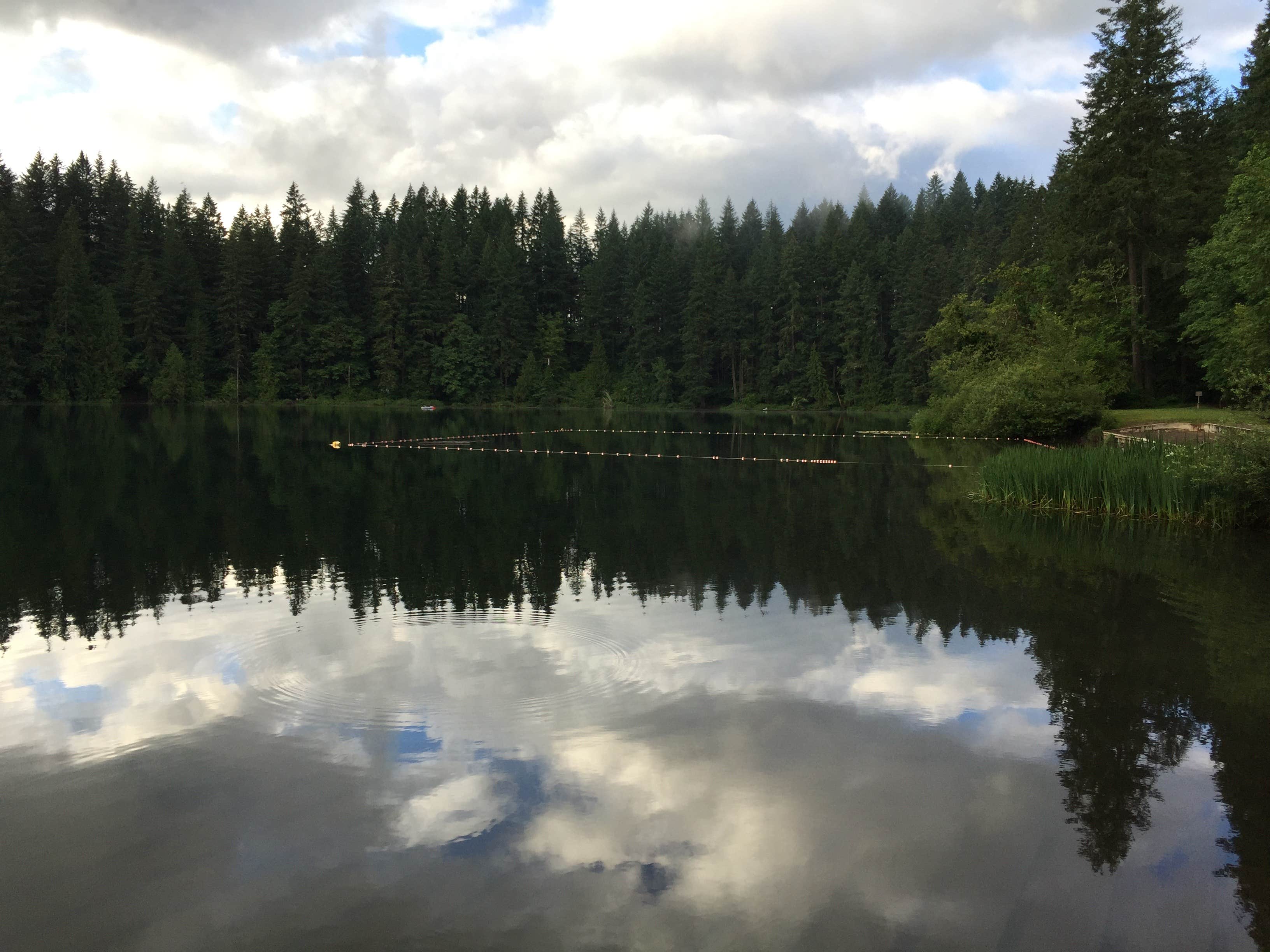 Washington photo 5