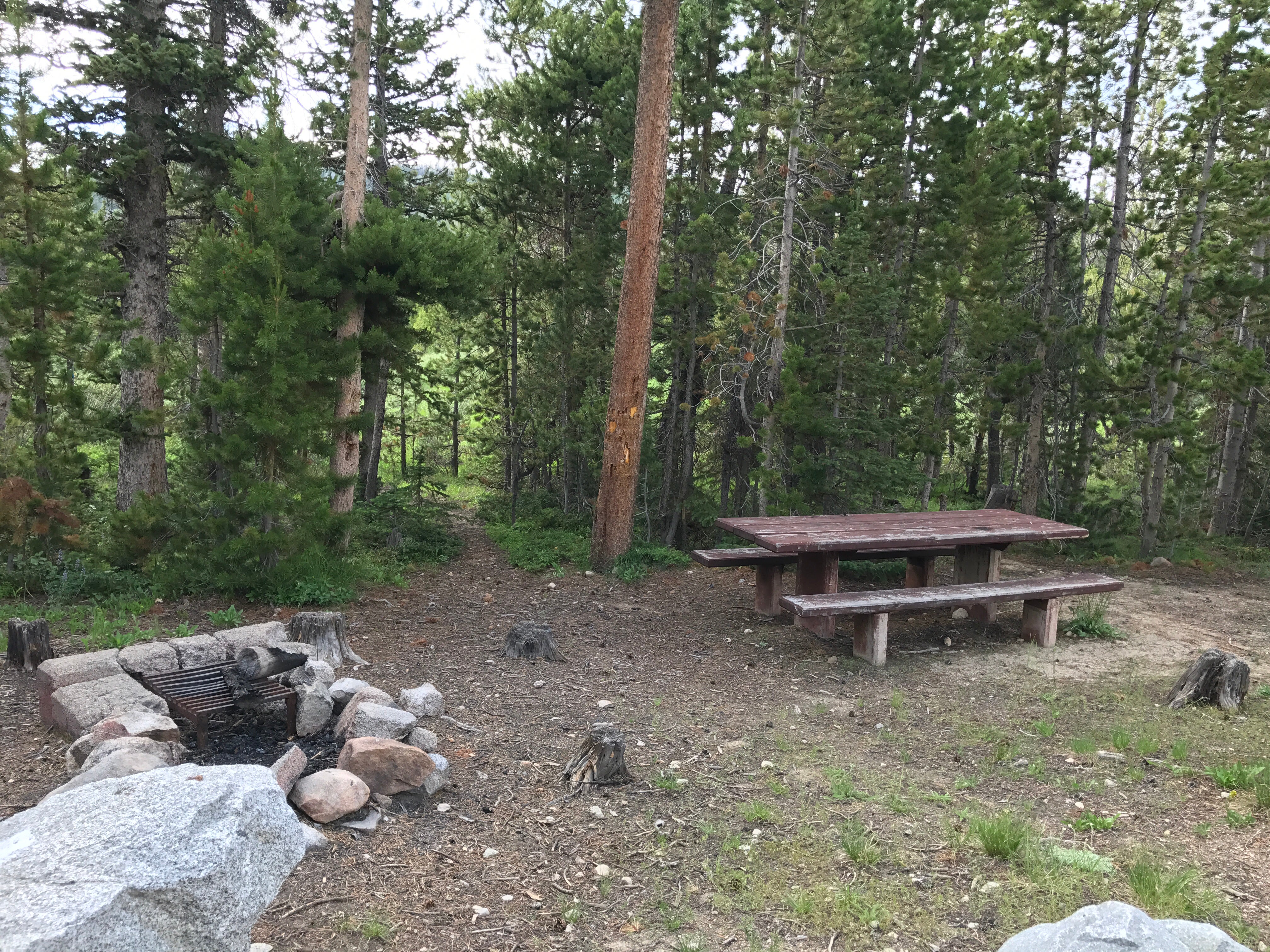 Camper submitted image from Little Popo Agie Campground - 1