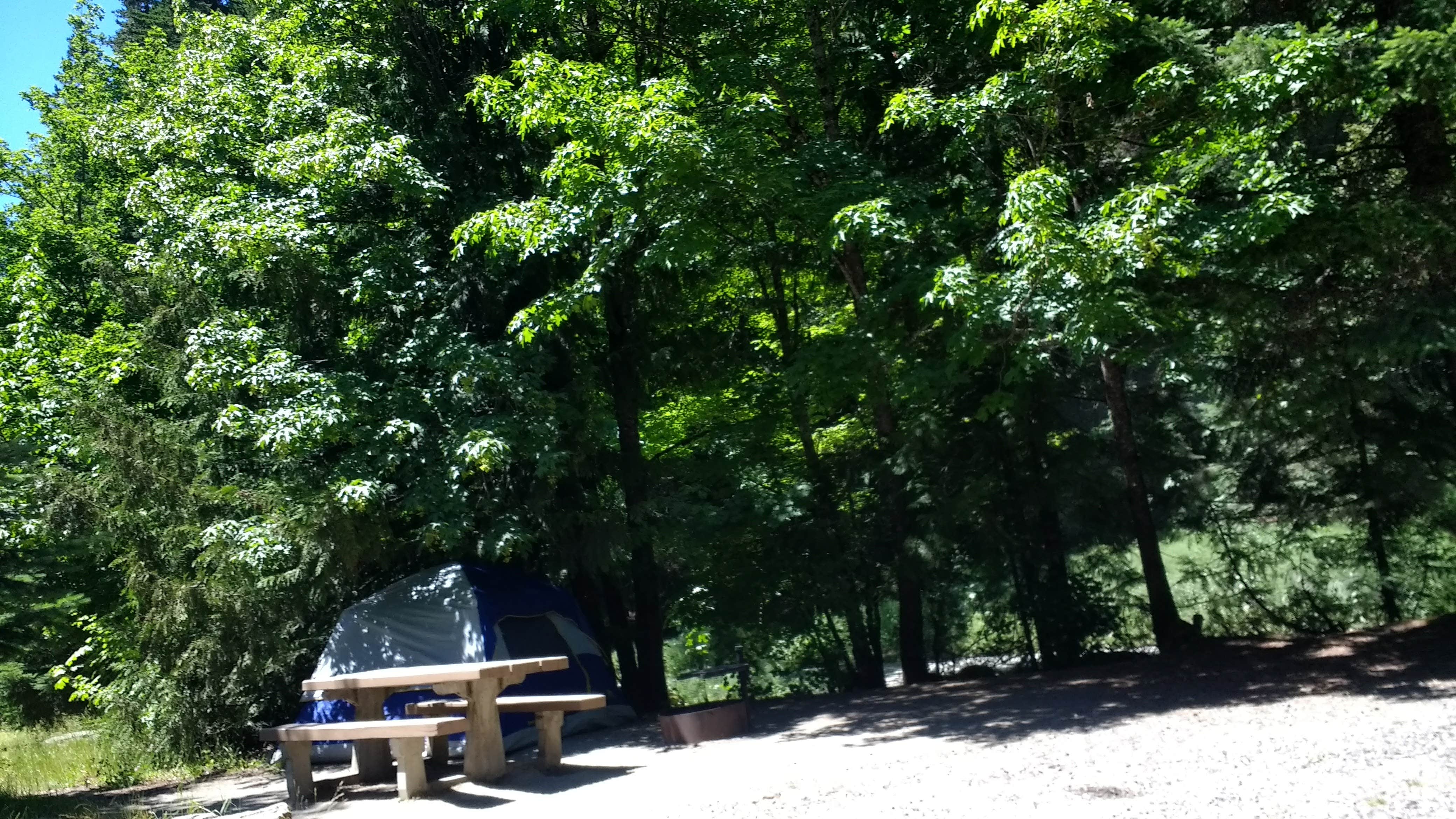 Camper submitted image from Lake Harriet - 3