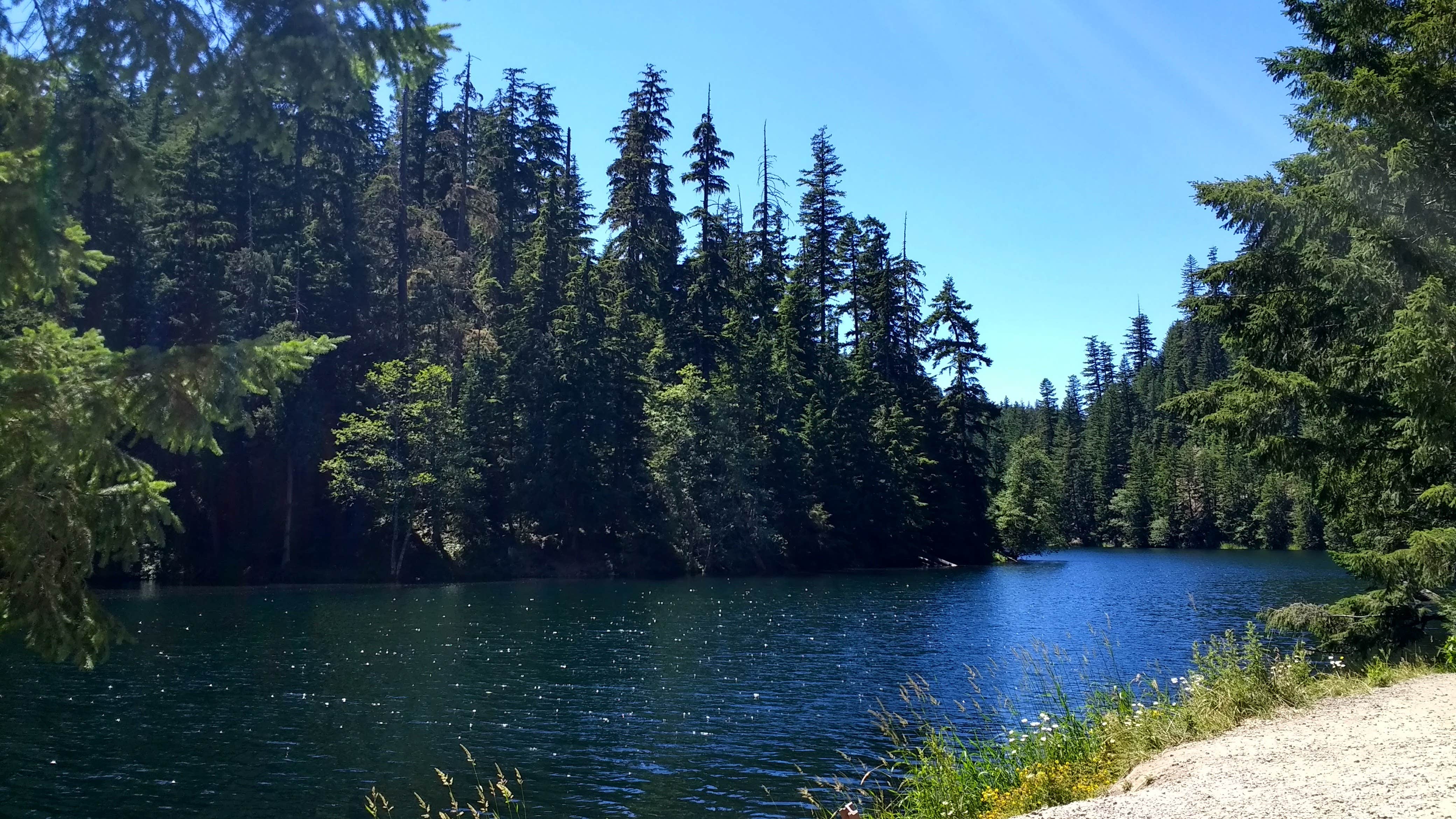 Lake Harriet The Dyrt