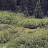 Review photo of Gunnison National Forest Lake Irwin Campground by Delaney A., July 11, 2017