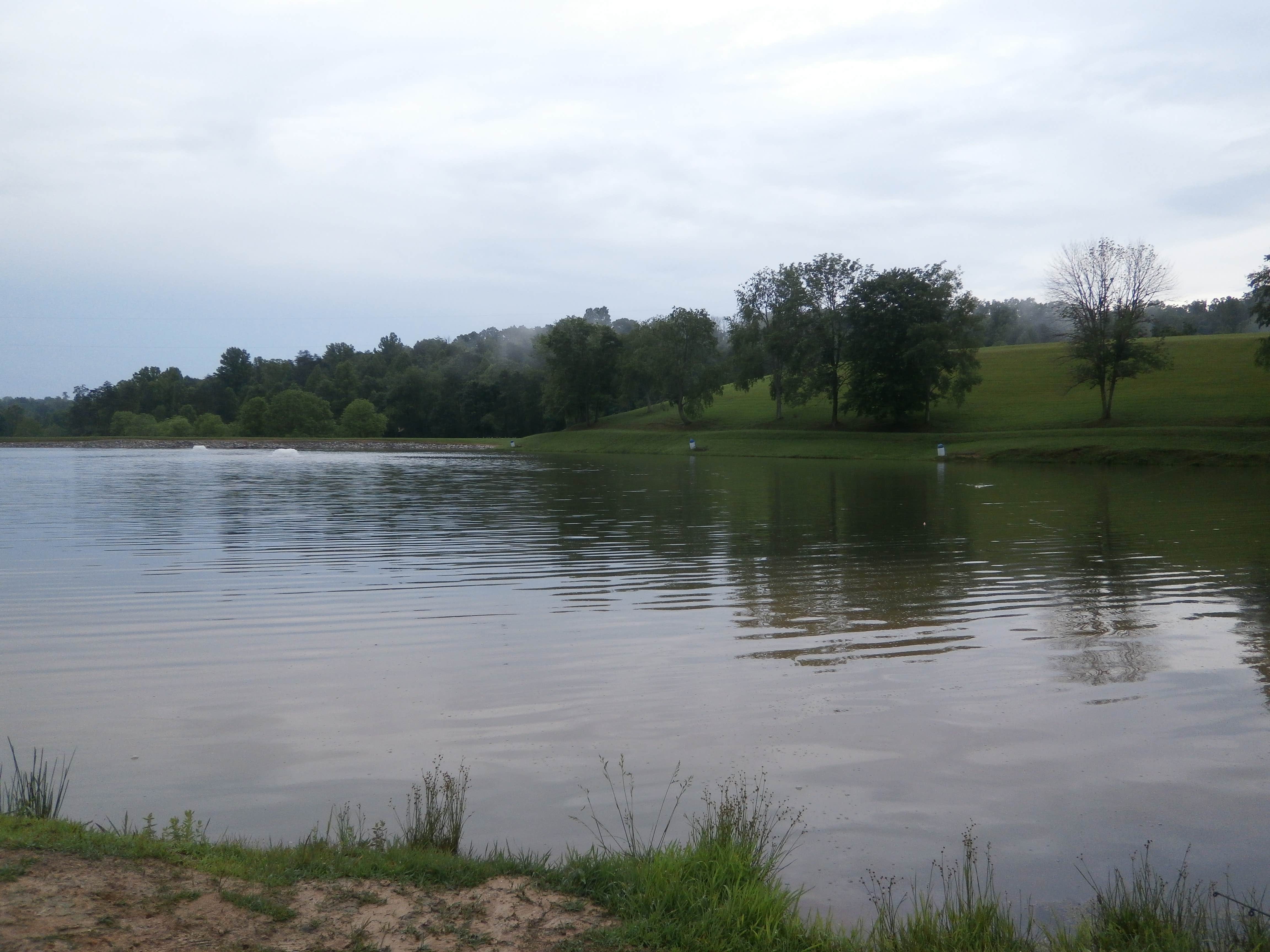 Camper submitted image from FMC Sportsman's Club - 5