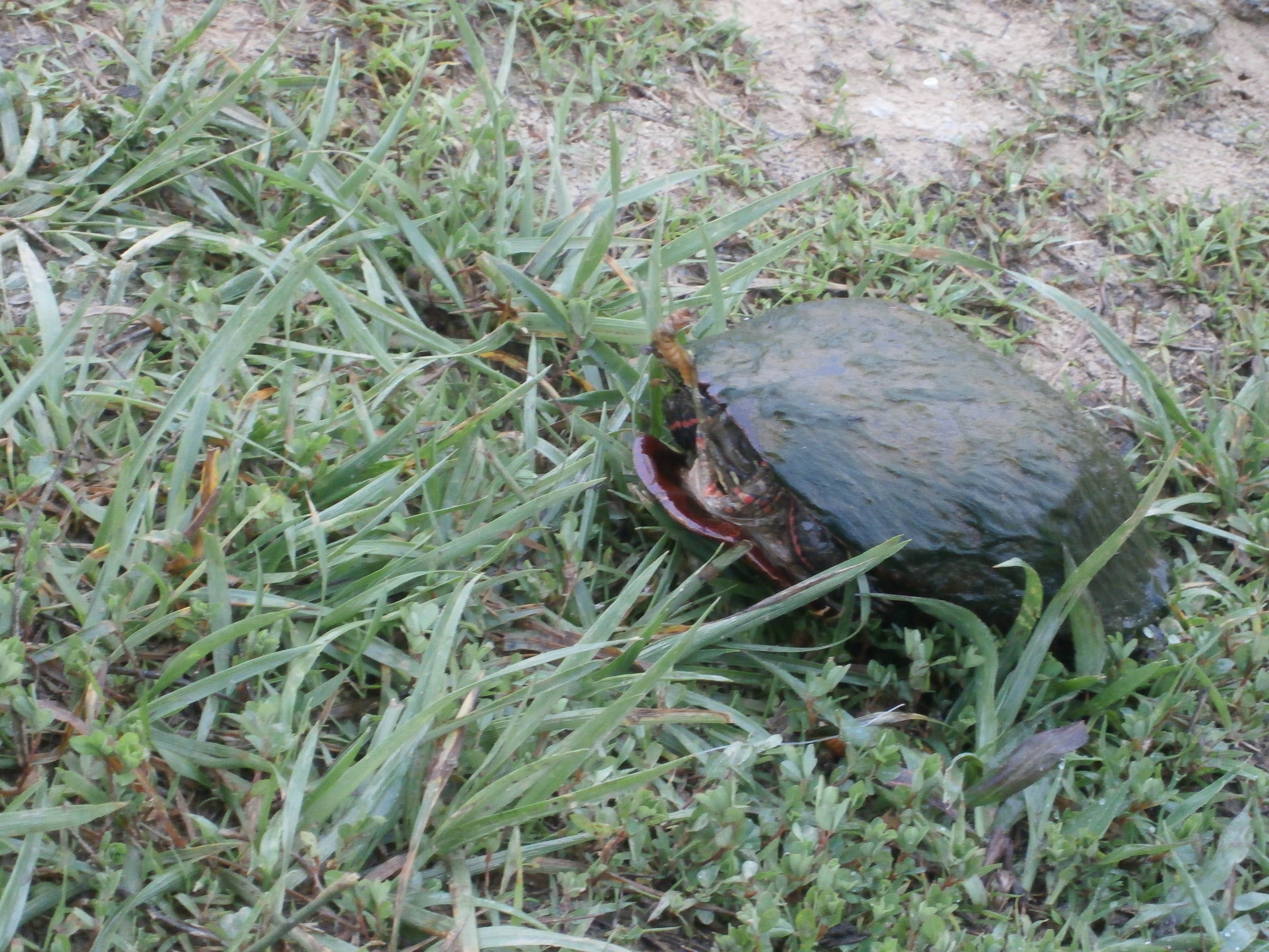 Camper-submitted photo at FMC Sportsman's Club near Charleston, WV