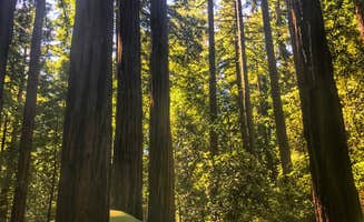 Kelly S.'s photo at Ben Ries Campground — Butano State Park - CLOSED INDEFINITELY near Redwood City, CA