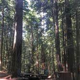 Review photo of Ben Ries Campground — Butano State Park - CLOSED INDEFINITELY by Kelly S., May 31, 2017