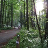 Review photo of Battle Ground Lake State Park Campground by Bjorn S., June 25, 2016