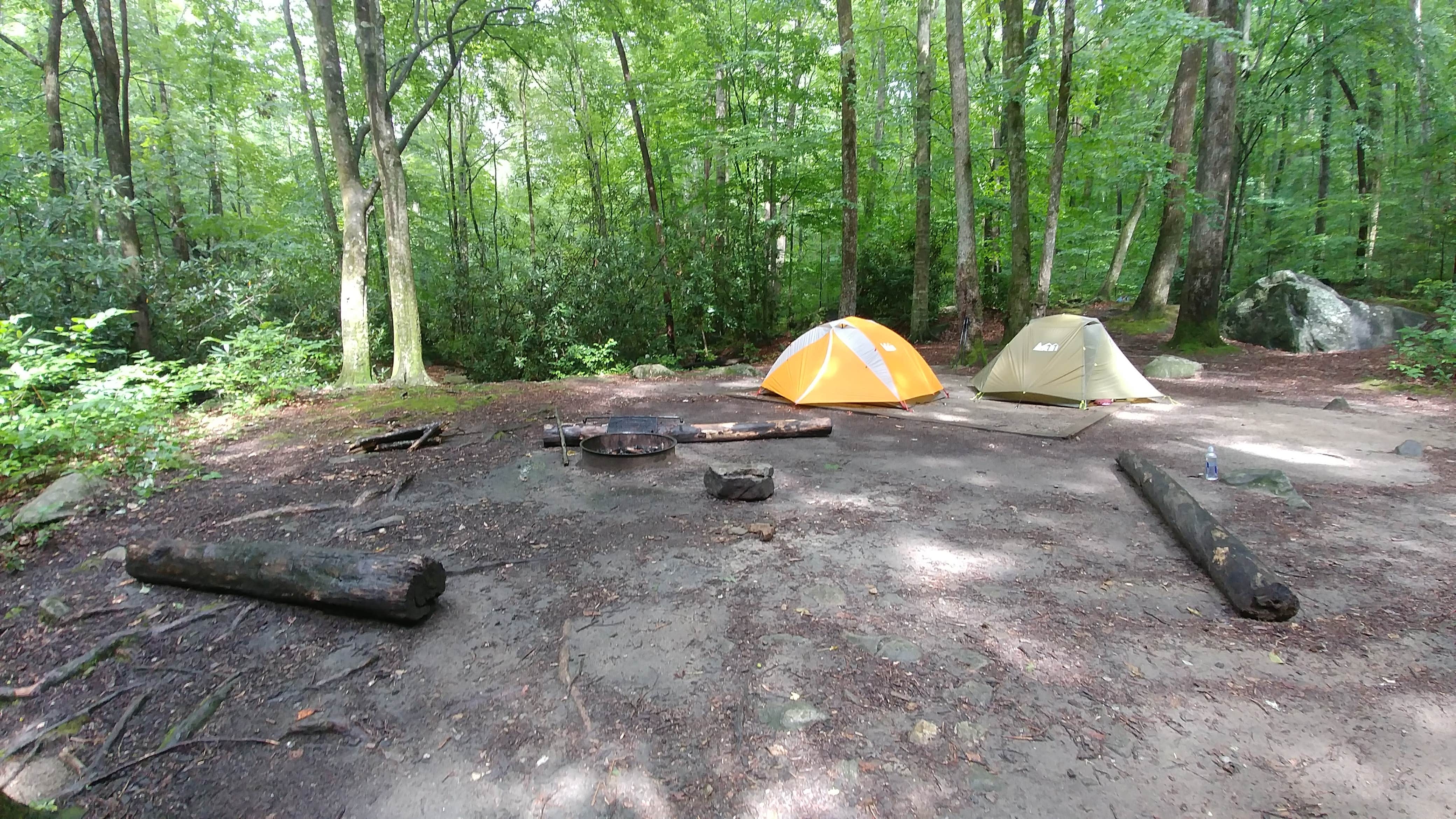 Diana C.'s photo at Jones Gap State Park Campground near Glendale, SC