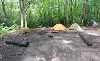 Diana C.'s photo at Jones Gap State Park Campground near Flat Rock, NC