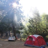Review photo of Limestone Campground by Cody H., July 11, 2017