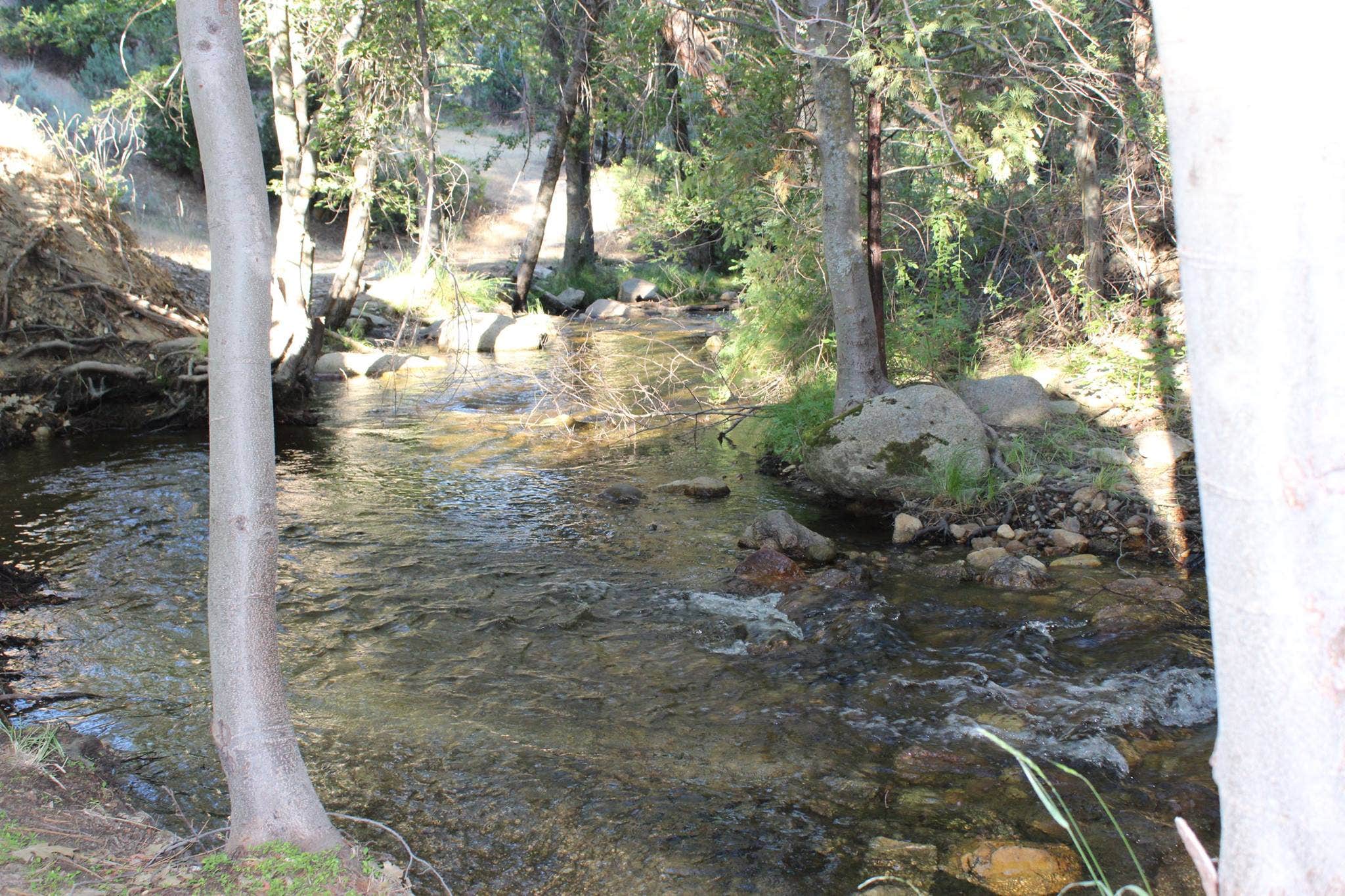 Camper submitted image from Limestone Campground - 5