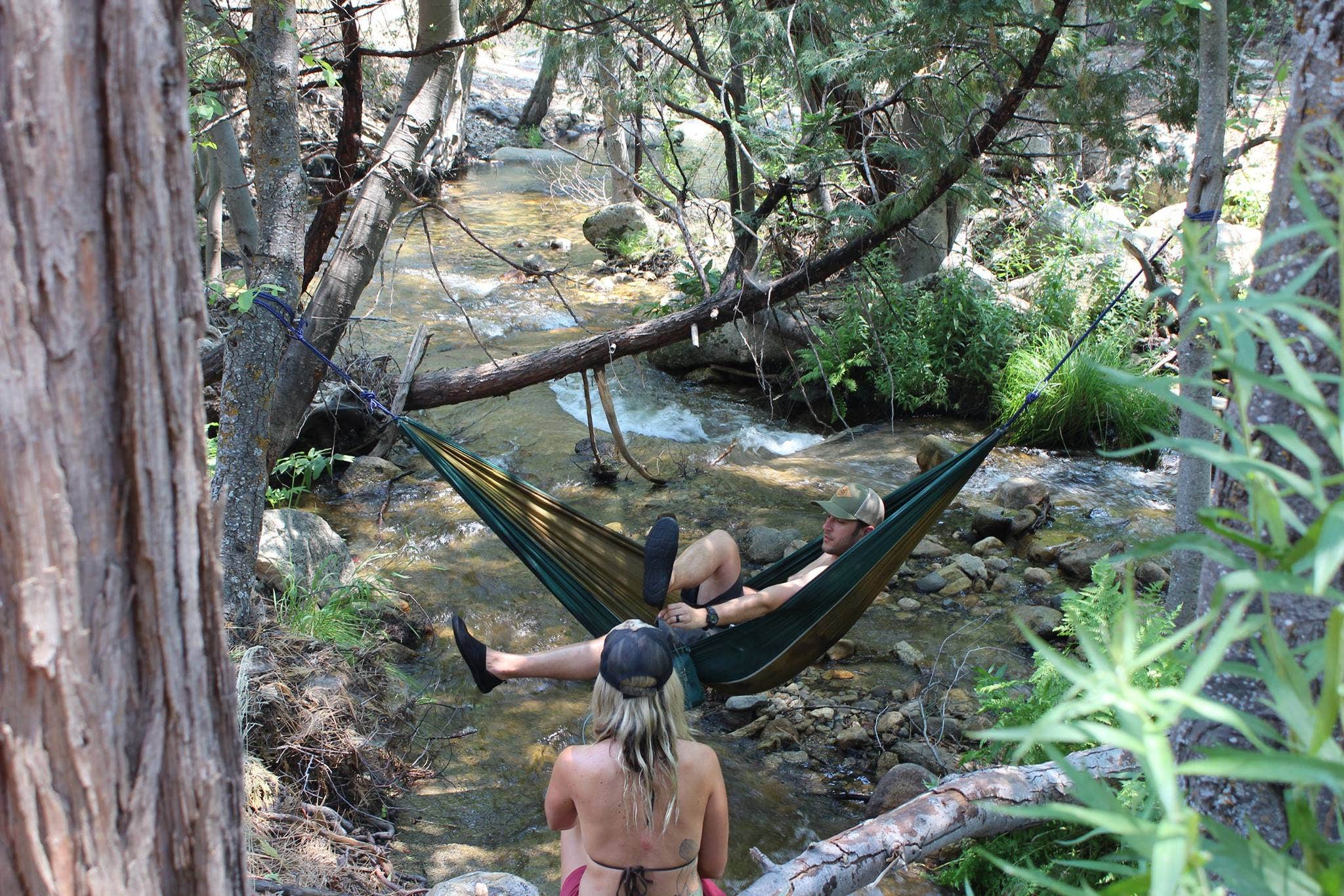 Camper submitted image from Limestone Campground - 4
