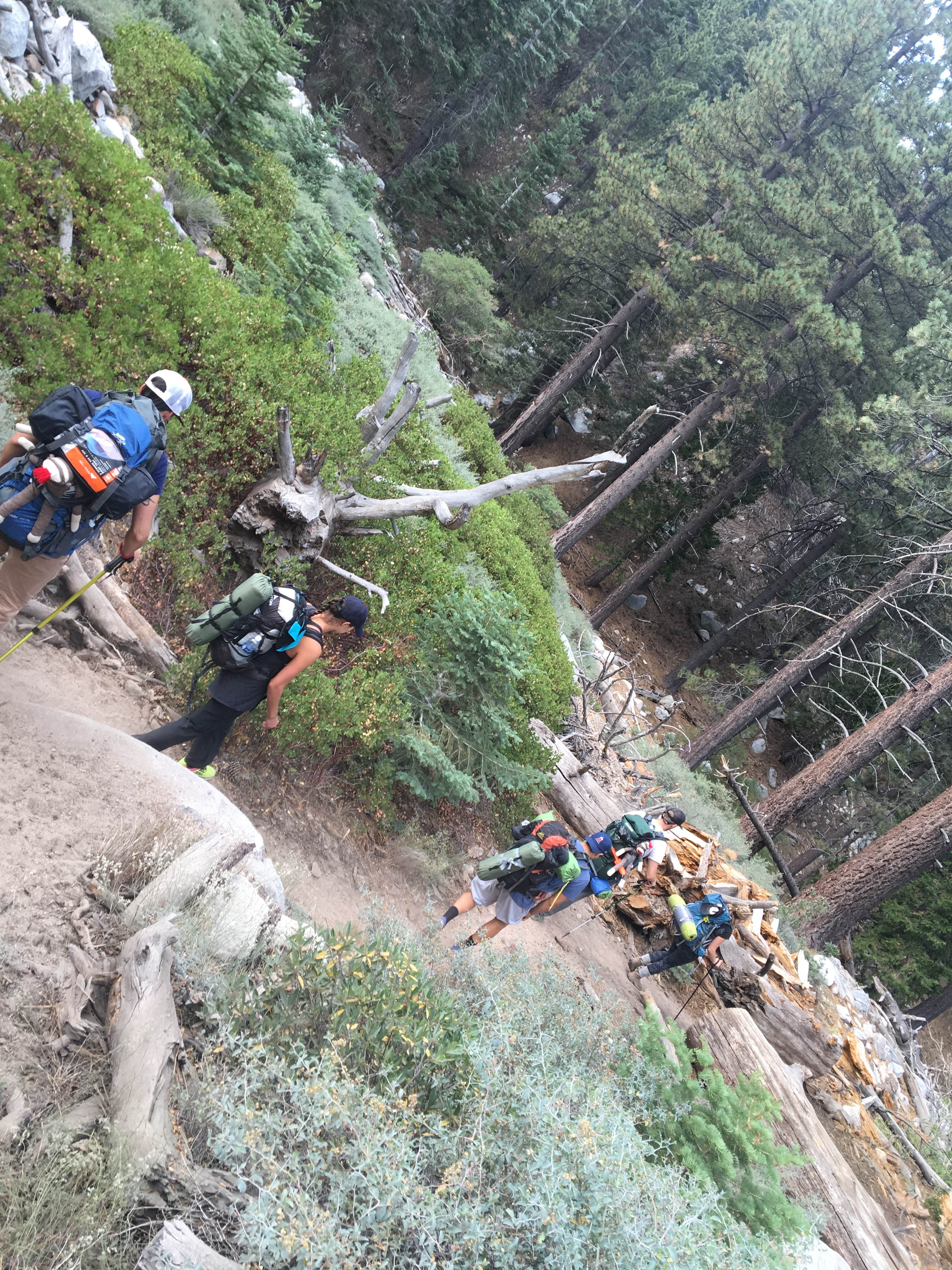 Camper-submitted photo at Halfway Camp near Forest Falls, CA