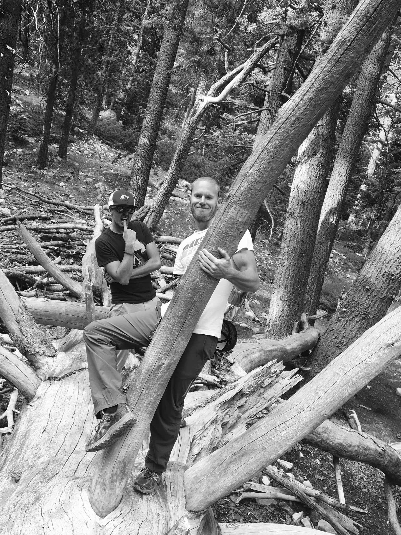 Camper-submitted photo at Halfway Camp near Forest Falls, CA