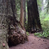 Review photo of Jedidiah Smith Campground — Redwood National Park by Ian Y., June 25, 2016