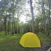 Review photo of Lewis Mountain Campground — Shenandoah National Park by Elliott B., July 11, 2017