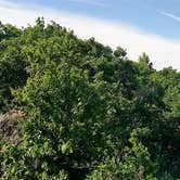 Review photo of Lewis Mountain Campground — Shenandoah National Park by Elliott B., July 11, 2017