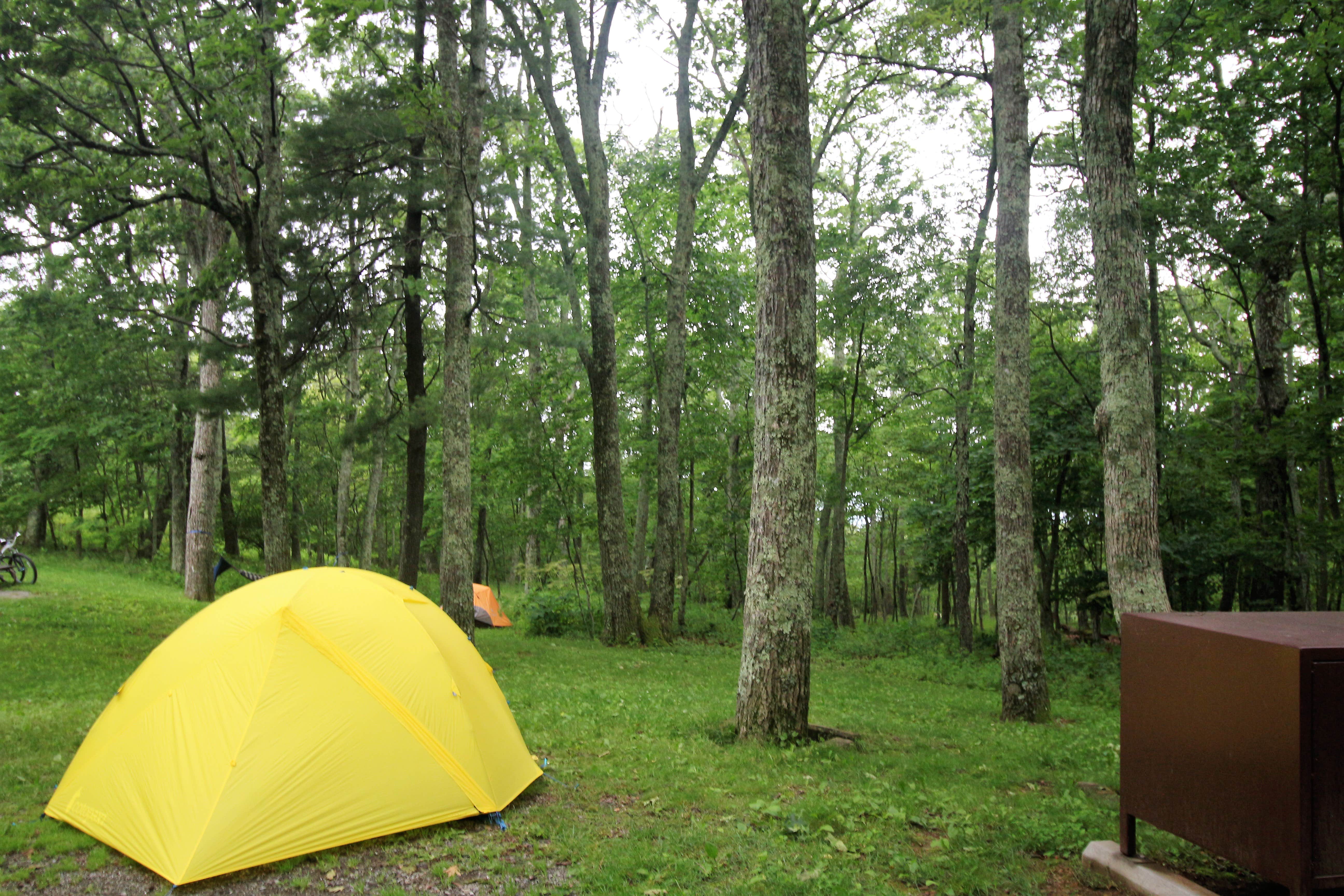 Elliott B.'s photo at Lewis Mountain Campground — Shenandoah National Park near Stanley, VA